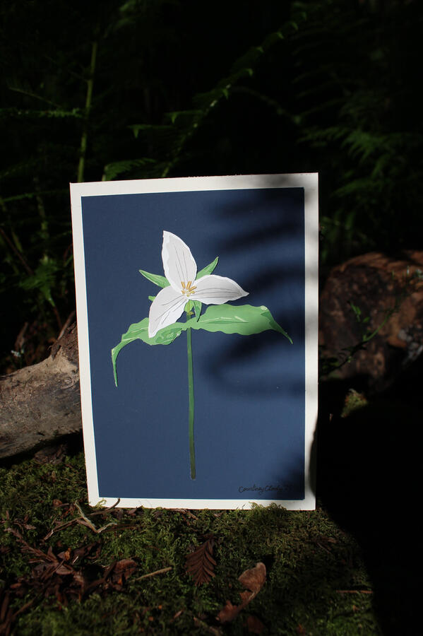 Untitled Untitled