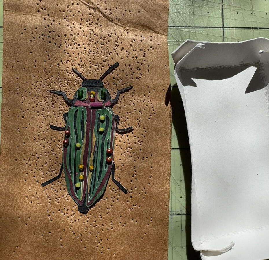 Golden Buprestid Beetle They hold the record for the longest larval stage of any insect, and because of that sometimes hatch indoors decades later from the timber they were living in! Find them in coniferous forests on sunny days!