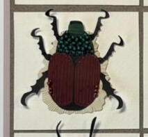 Hairy Bear Scarab Beetle Known for their clumsy flying pattern, and due to their fuzzy sides, sometimes catch pollen and act as a pollinator! You could find them east of the Cascades.