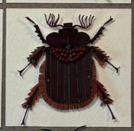 Rain Beetle - Pleocoma Laker Just discovered in WA in 2018!!! And only living in Klickitat county??
