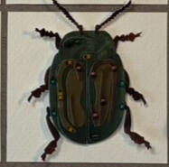 Saint Johns Wort Beetle