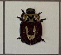 Painted Lady Beetle